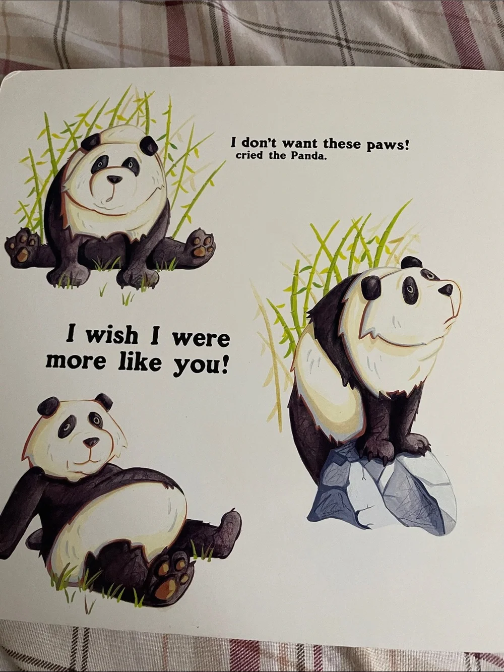 Who's in the Zoo? - Green Kids' Picture Book by Susan Chandler